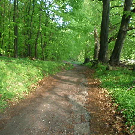 Διαμέρισμα 9 Ostsee-ferienwohnung-sellin Sellin (Rugen)