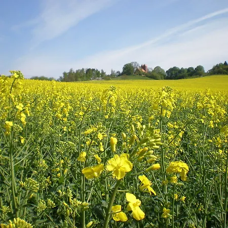 Διαμέρισμα 9 Ostsee-ferienwohnung-sellin