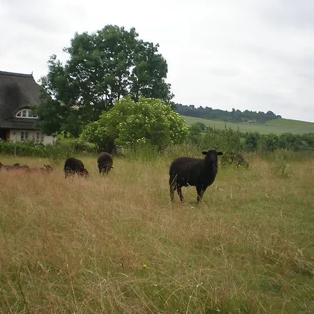 Apartment 9 Ostsee-ferienwohnung-sellin Sellin (Rugen)