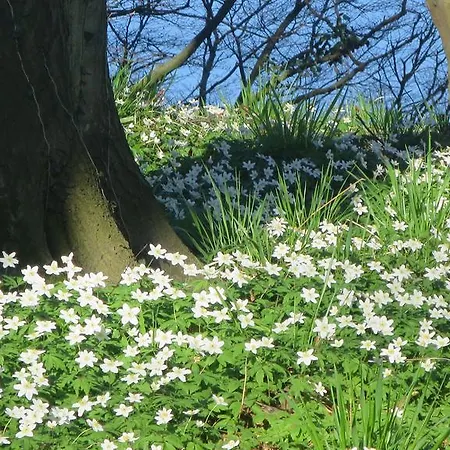 Apartment 9 Ostsee-ferienwohnung-sellin