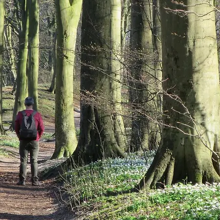 Apartment 9 Ostsee-ferienwohnung-sellin *