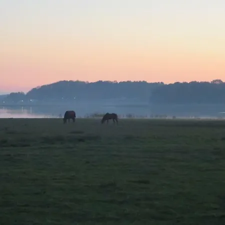 9 Ostsee-ferienwohnung-sellin Apartment