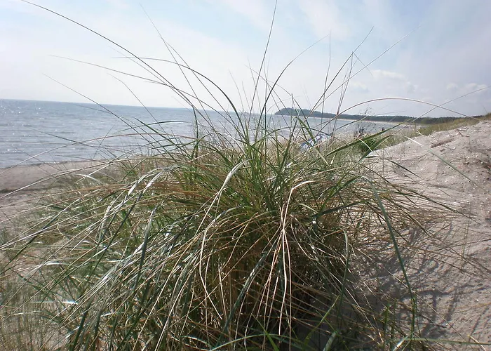 9 Ostsee-ferienwohnung-sellin