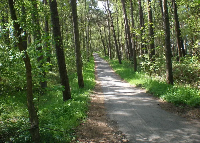 9 Ostsee-ferienwohnung-sellin Sellin (Rugen)