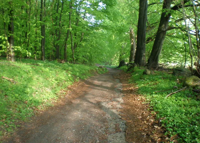 Apartment 9 Ostsee-ferienwohnung-sellin Sellin (Rugen)