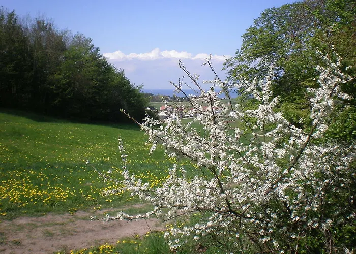 9 Ostsee-ferienwohnung-sellin ゼリン