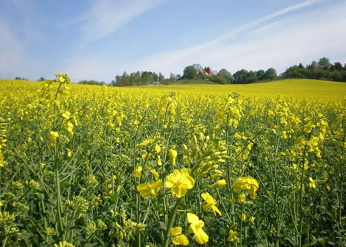 Apartment 9 Ostsee-ferienwohnung-sellin