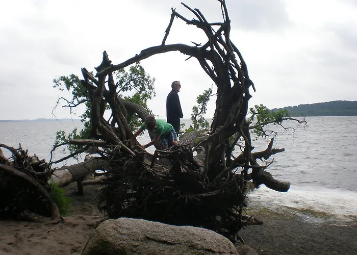 9 Ostsee-ferienwohnung-sellin ゼリン