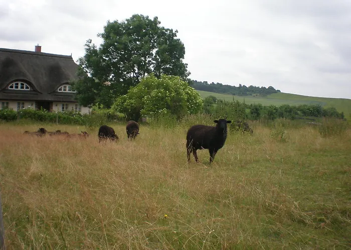 アパート 9 Ostsee-ferienwohnung-sellin ゼリン