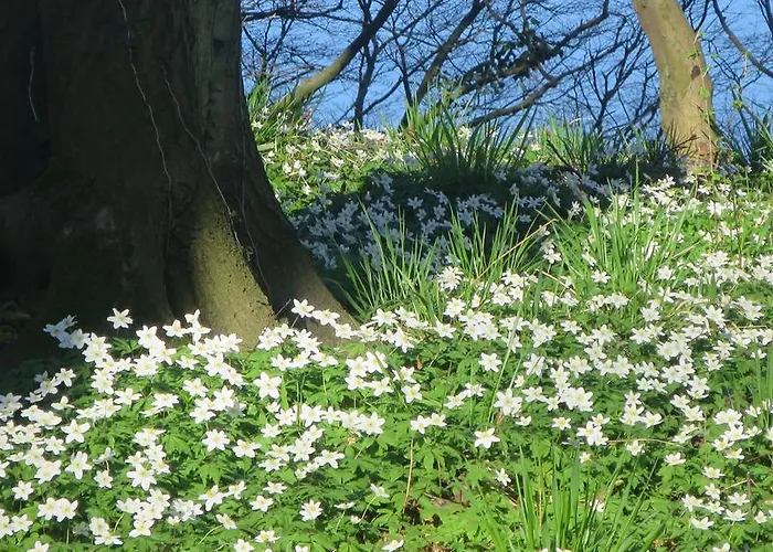 아파트 9 Ostsee-ferienwohnung-sellin