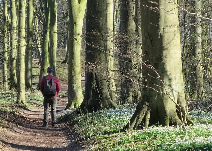 아파트 9 Ostsee-ferienwohnung-sellin *