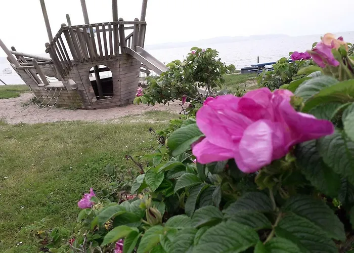 9 Ostsee-ferienwohnung-sellin *