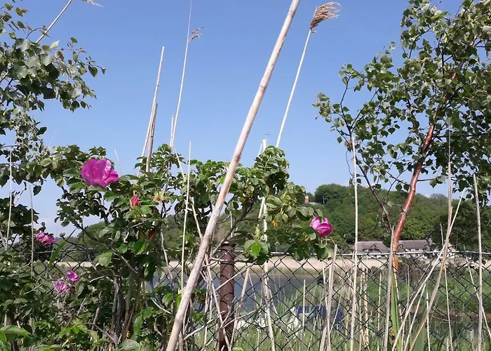 アパート 9 Ostsee-ferienwohnung-sellin ゼリン