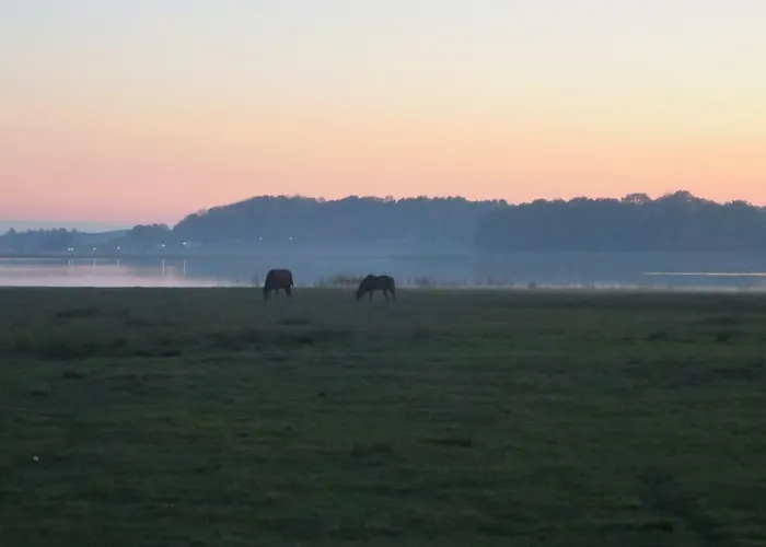 9 Ostsee-ferienwohnung-sellin 아파트